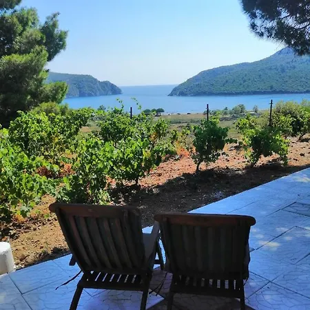 Bungalows Ξενοδοχείο με διαμερίσματα *